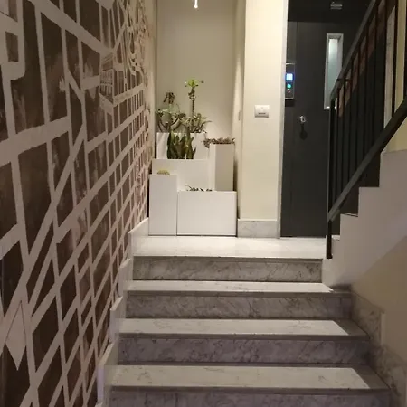 Gatto Bianco